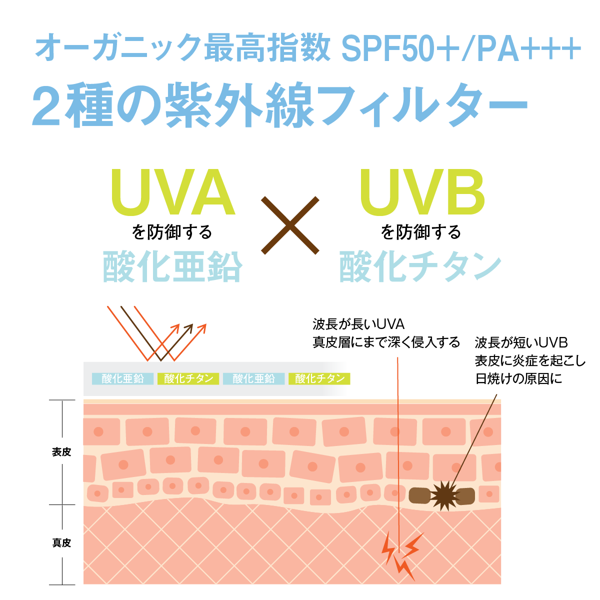 UVプロテクト フェイス & ボディ SPF50+/ PA+++