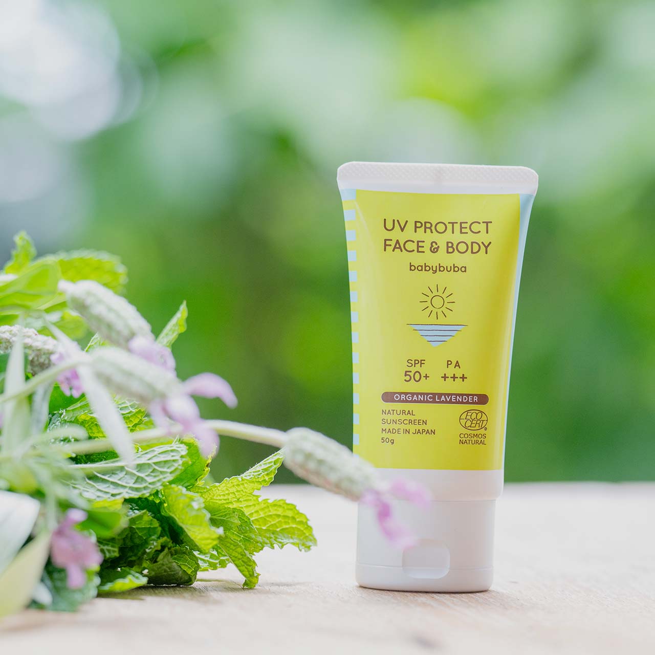 アウトドアスペシャルセット