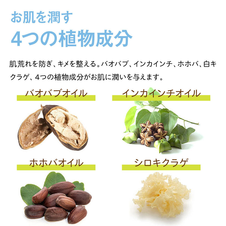 アウトドアセット