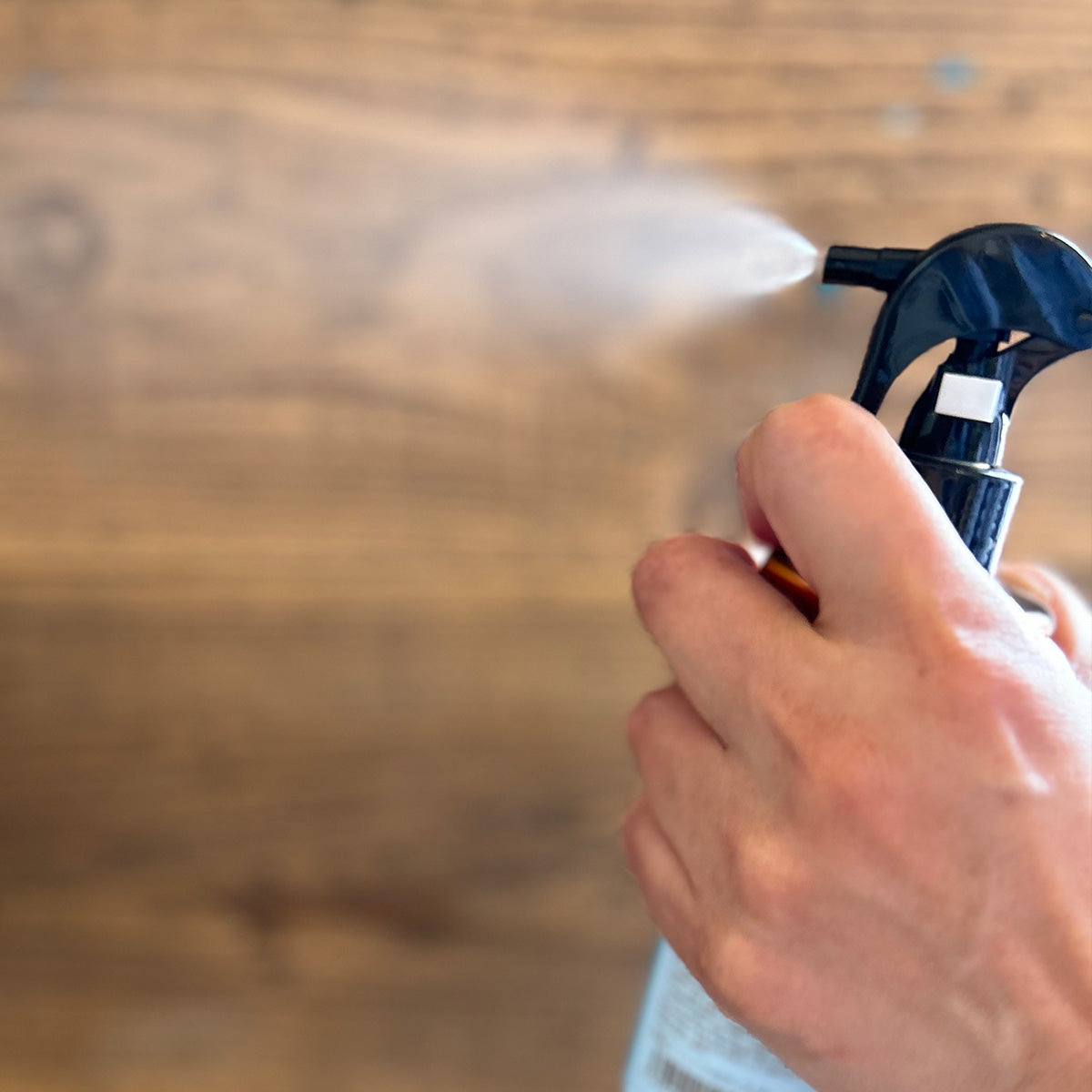 アウトドアスペシャルセット