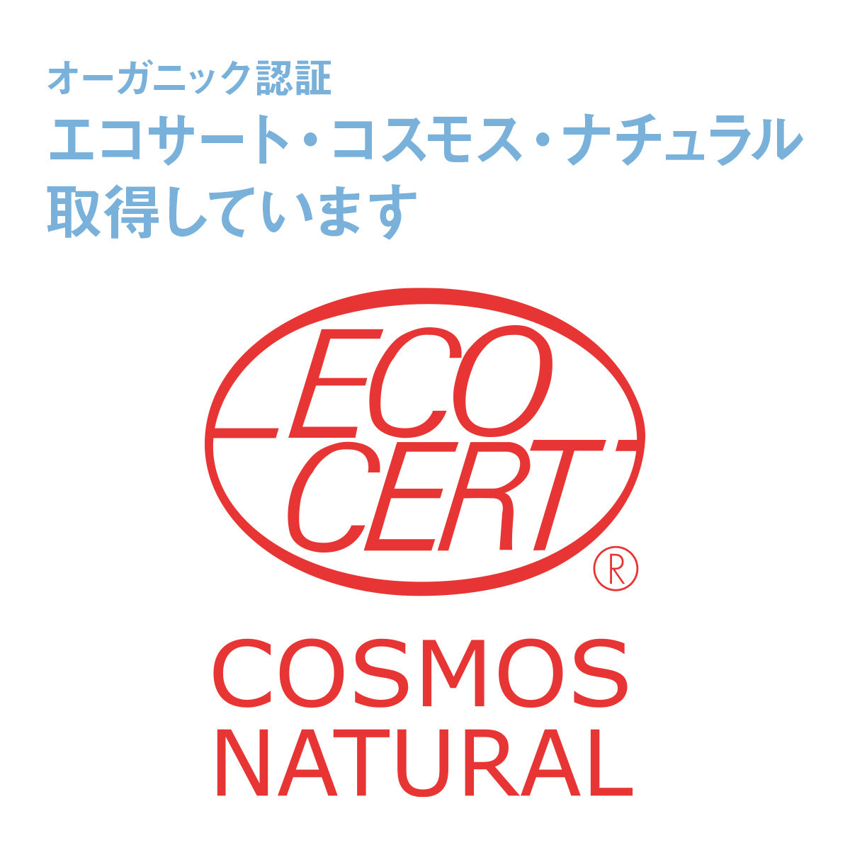 アウトドアスペシャルセット