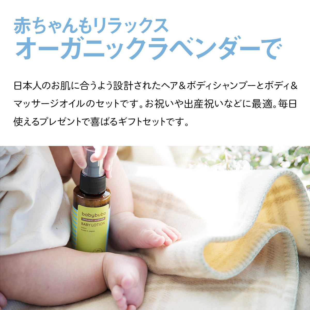 オーガニックラベンダー