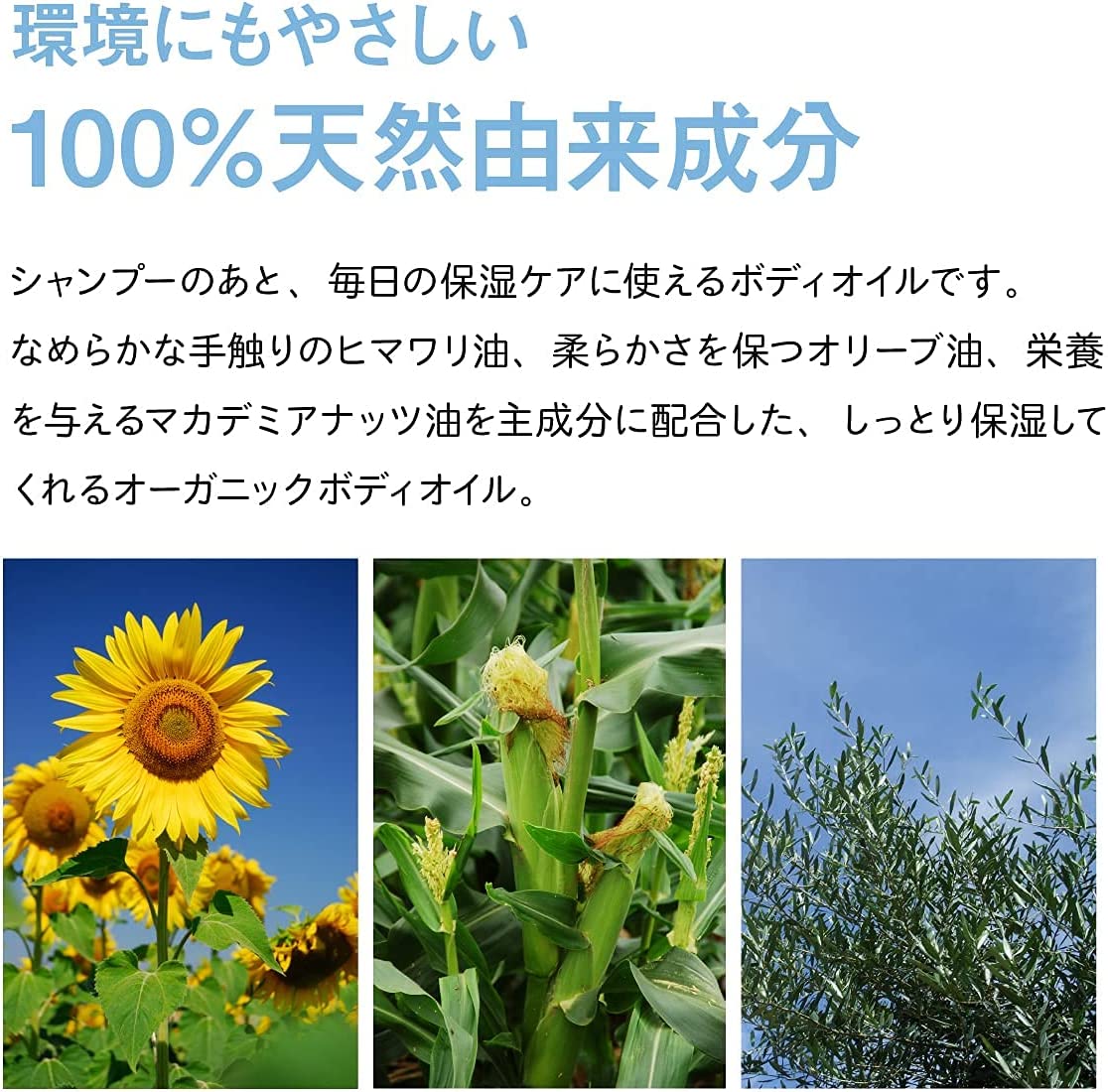 トライアルセット