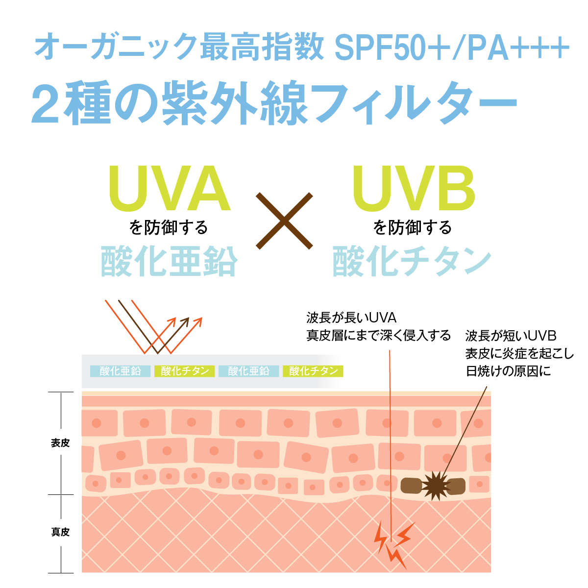 UVプロテクト フェイス ＆ ボディ SPF50+/ PA+++